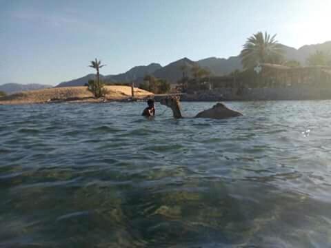 Sebaii Camp السباعى كامب شاطئ الترابين بجوار ويت بالس Hostel Nuweiba Ngoại thất bức ảnh