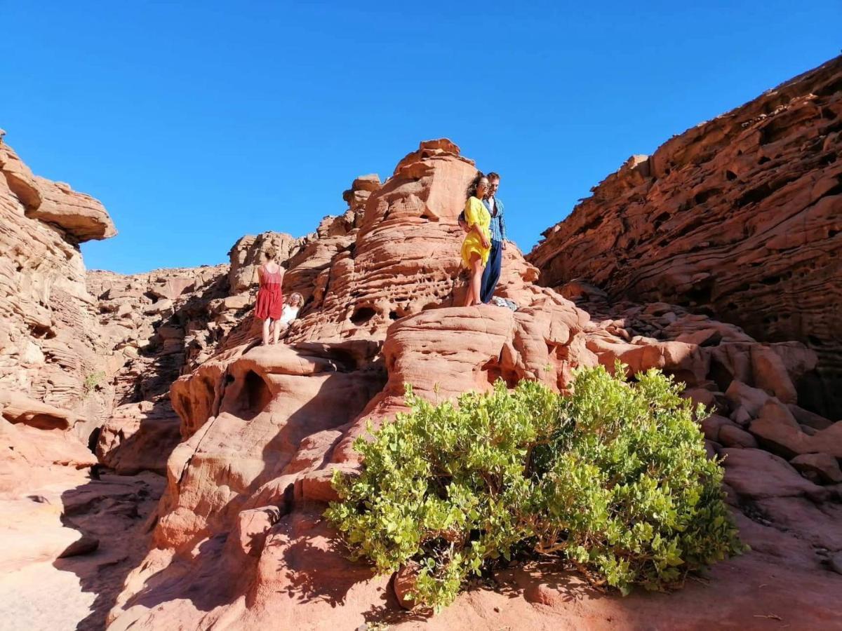 Sebaii Camp السباعى كامب شاطئ الترابين بجوار ويت بالس Hostel Nuweiba Ngoại thất bức ảnh