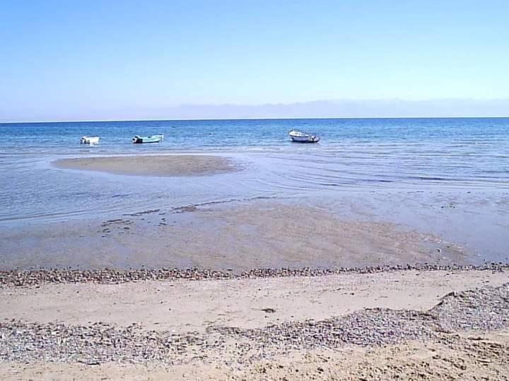 Sebaii Camp السباعى كامب شاطئ الترابين بجوار ويت بالس Hostel Nuweiba Ngoại thất bức ảnh