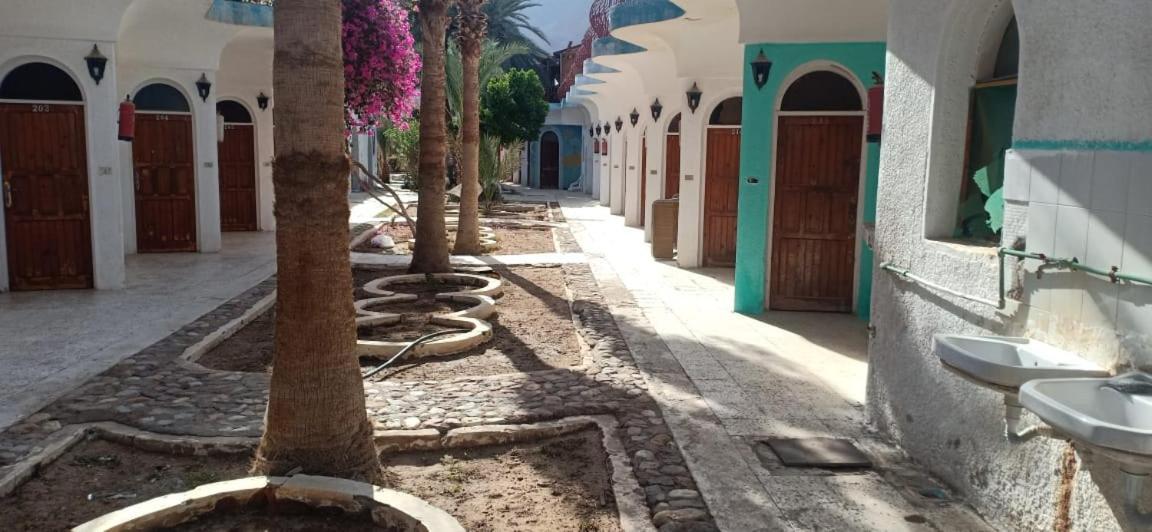 Sebaii Camp السباعى كامب شاطئ الترابين بجوار ويت بالس Hostel Nuweiba Ngoại thất bức ảnh